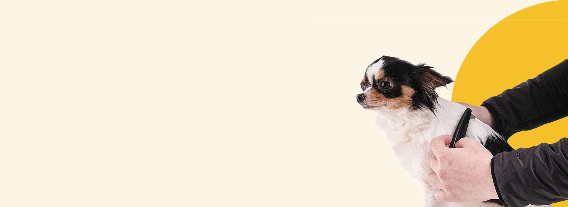 Pet Grooming Fort Myers, San Carlos, Fort Myers Beach Kelly Crossing